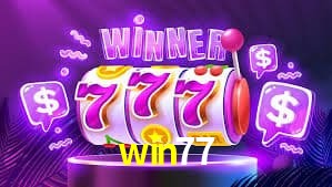 Statistics win77